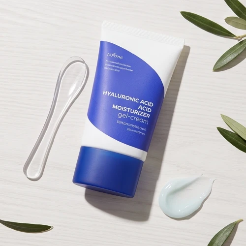 Isntree Moisturizer
